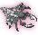 Zerg.png